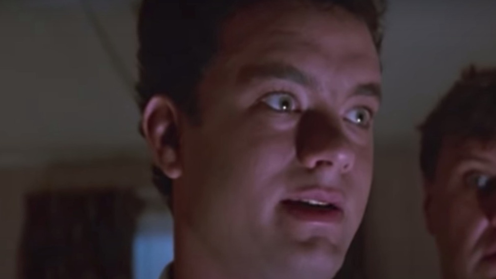 The 'Burbs (1989) - Tom Hanks as Ray Peterson - IMDb