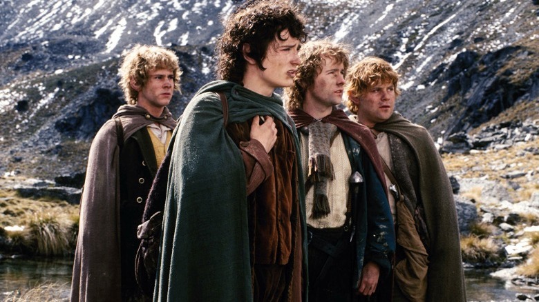 hobbits mountain staring intense