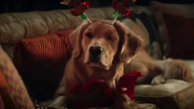 Pizza Dog wearing Christmas horns