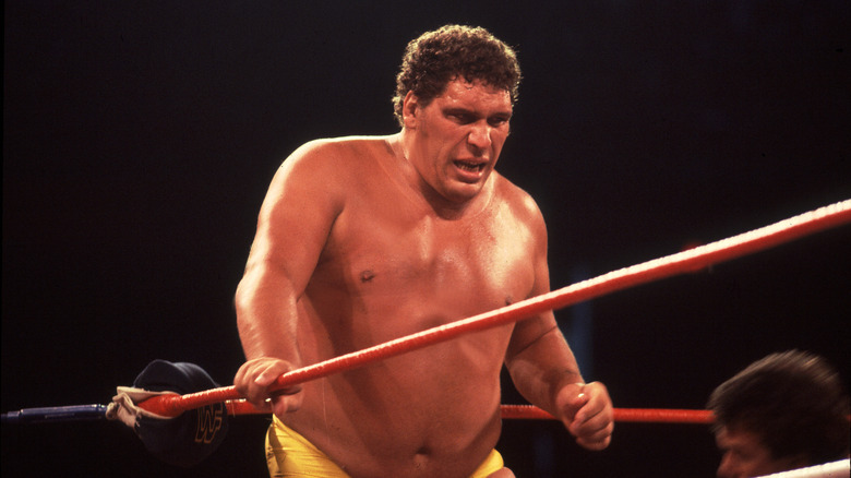 Andre the Giant fighting