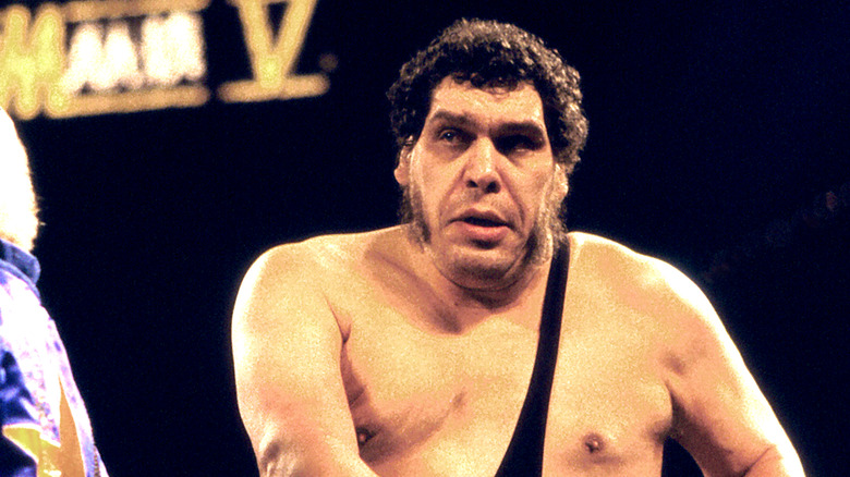 Andre the Giant fighting