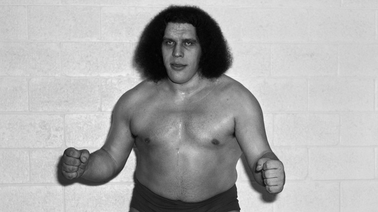 Andre the Giant posing