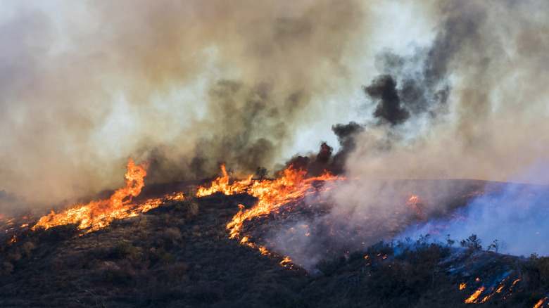 Woolsey wildfire burning in California