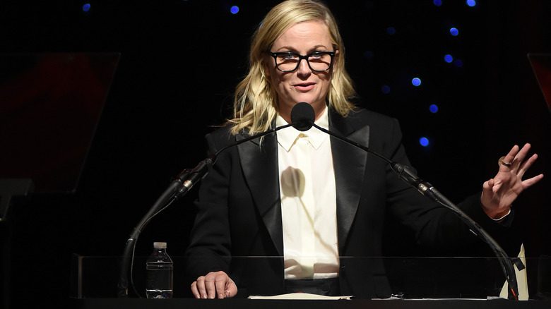 Amy Poehler at the Writers Guild Awards