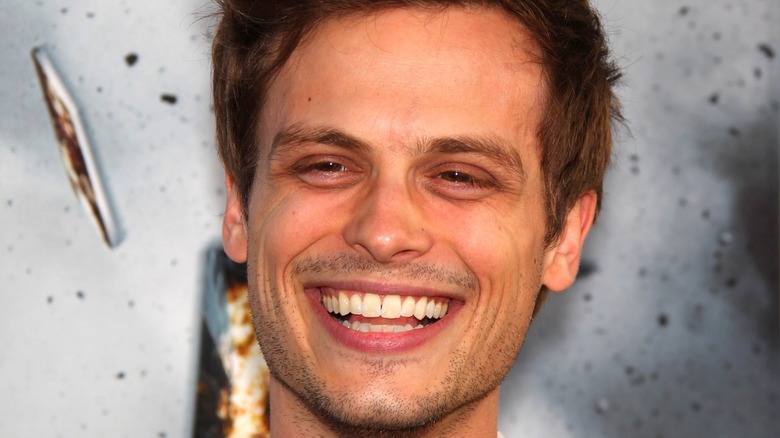 The Transformation Of Matthew Gray Gubler From Childhood To Criminal Minds