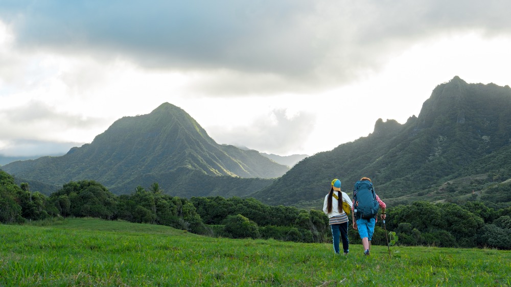 Finding 'Ohana Hawaii