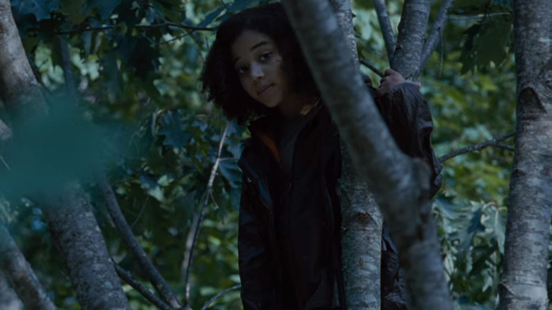 Rue standing in a tree