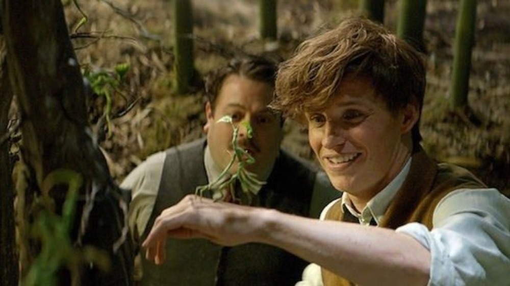 Eddie Redmayne holding a bowtruckle