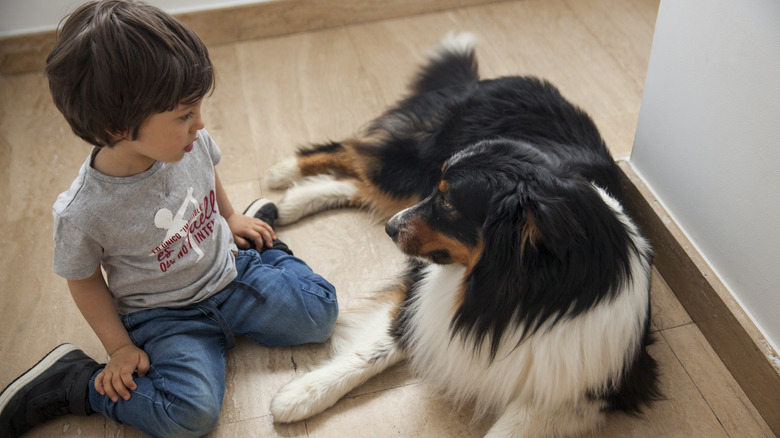 Baby plays with dog