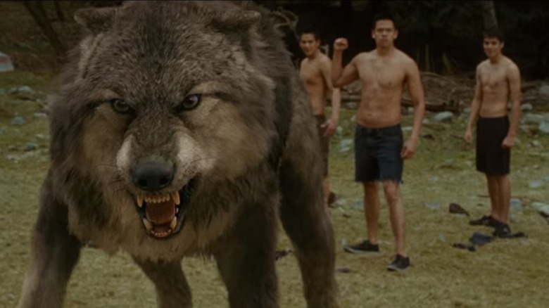 Wolfpack in New Moon