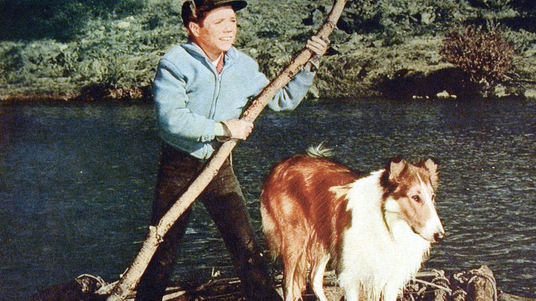 Lassie and Timmy rafting