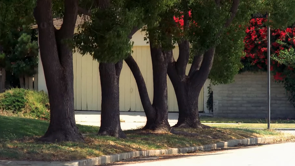 Elm Street Trees and Flowers silent