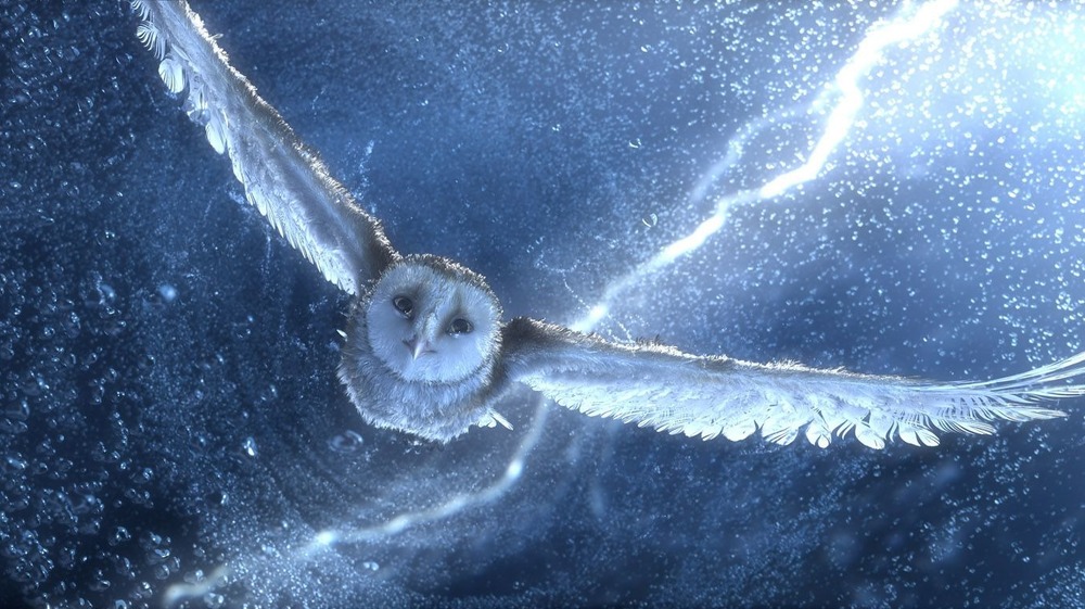 Soren the owl flying