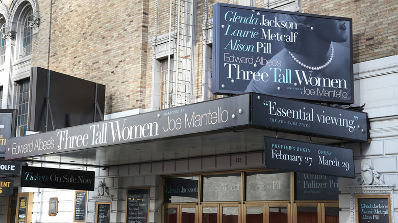 The theater of Alison Pill's Three Tall Women play