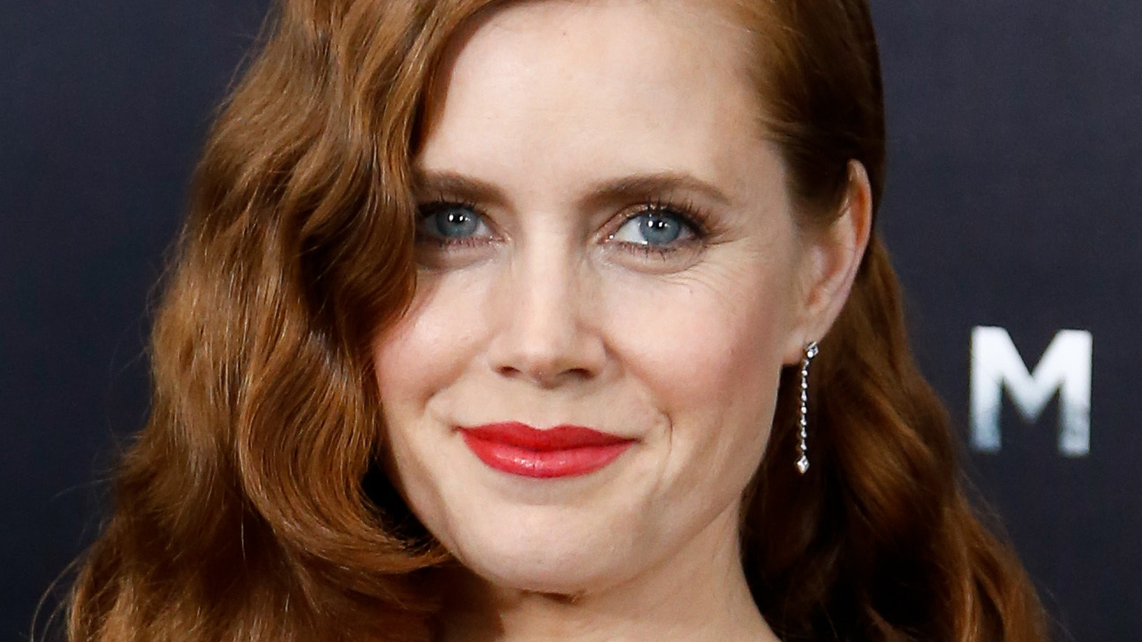 Amy Adams: Would love to do Man of Steel sequel