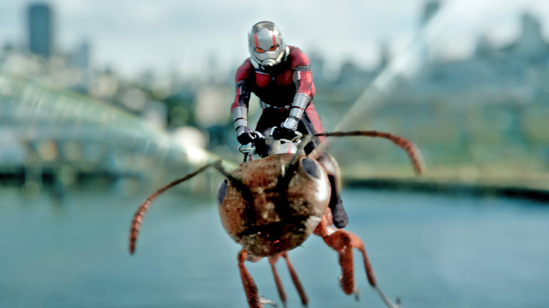 Ant-Man rides ant