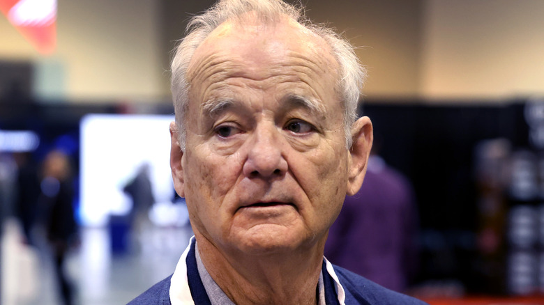 Bill Murray at a press event