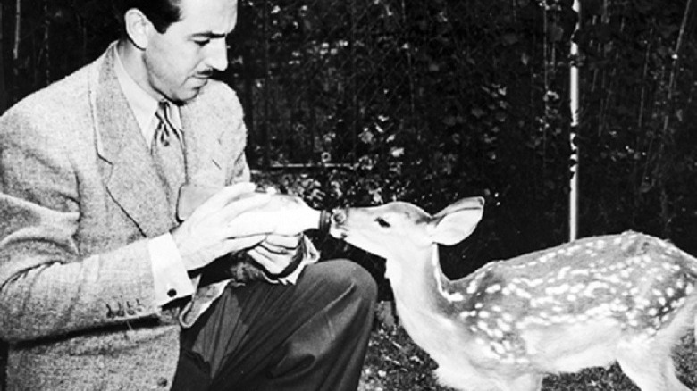 Walt Disney feeding baby deer