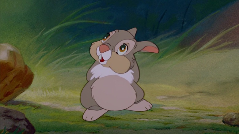 Thumper looking bashful