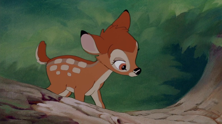 Bambi looking at tree