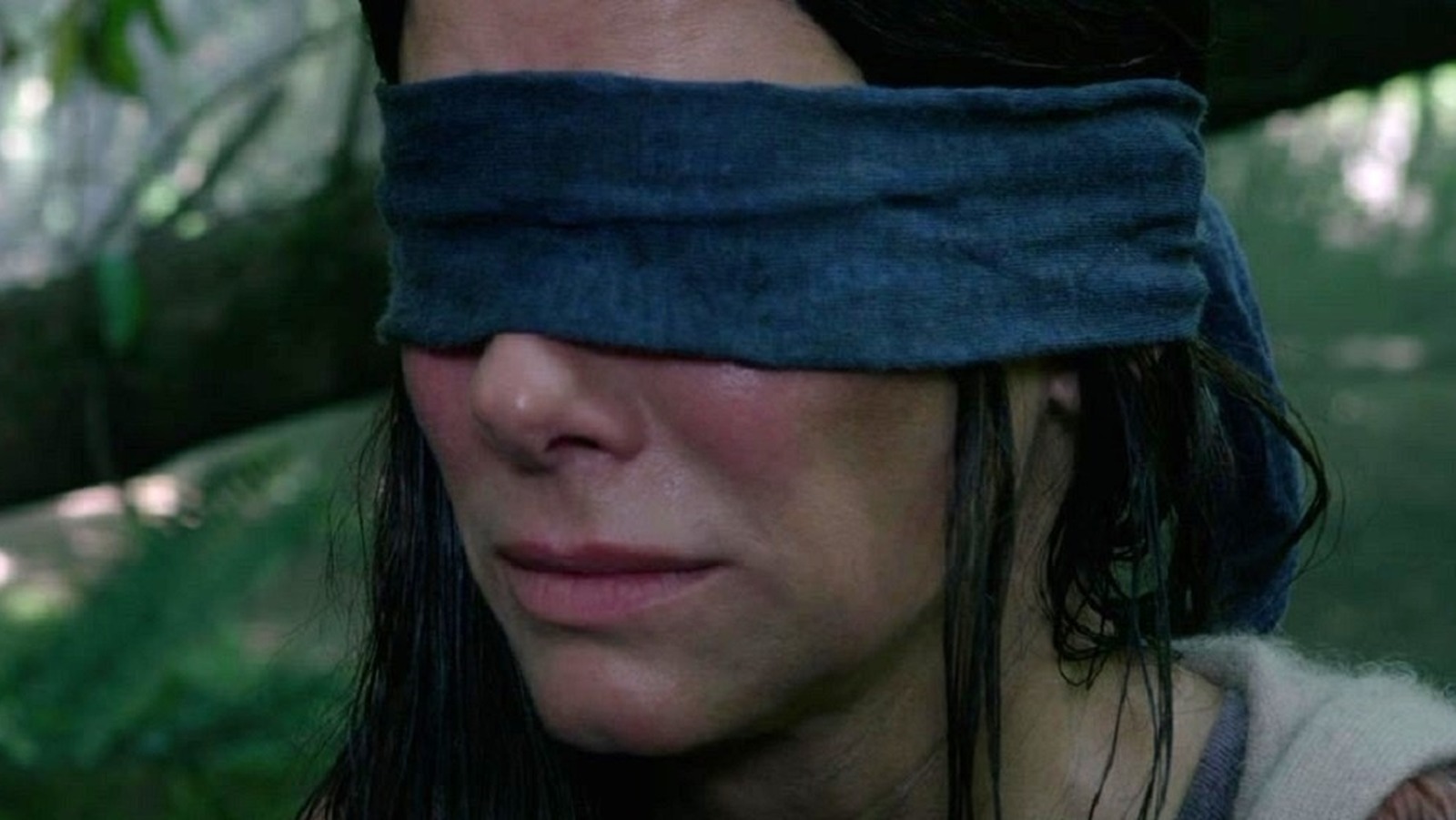 The Untold Truth Of Bird Box