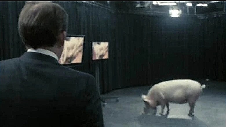 The PM and a pig