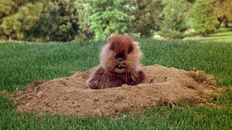 Caddyshack gopher