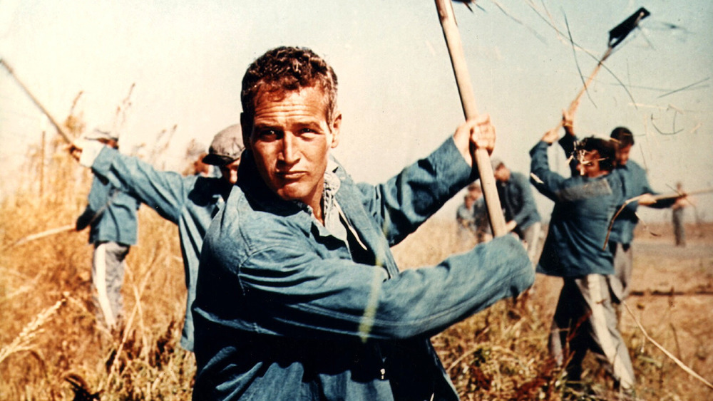 Paul Newman in Cool Hand Luke