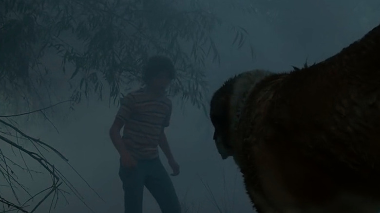 Cujo in the fog