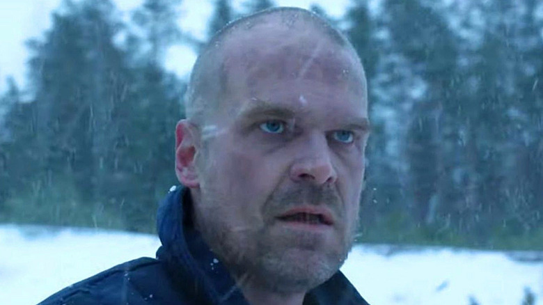 Bald David Harbour in snow