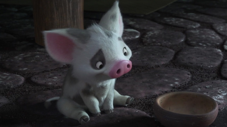 Pua the pig despondent