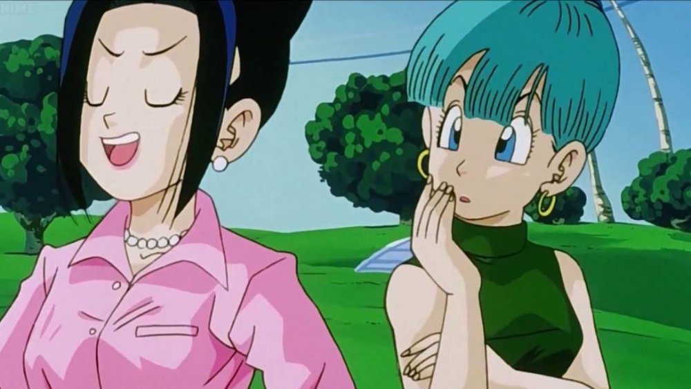 Chi-Chi and Bulma