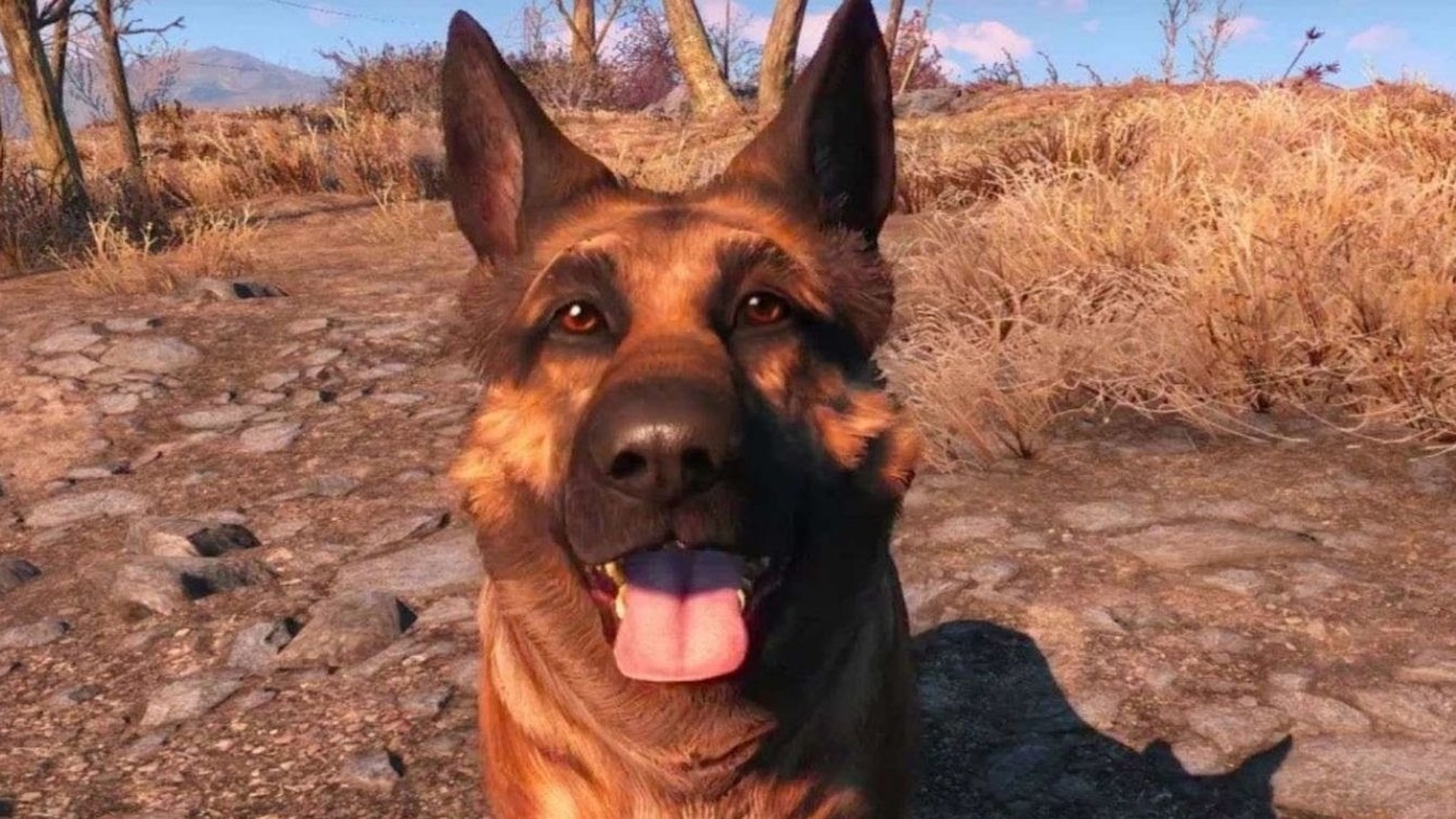 dogmeat from fallout 4