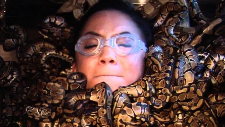 Fear Factor contestant is covered in snakes