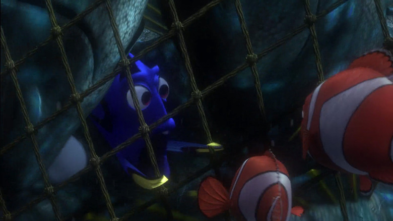 Dory caught in net