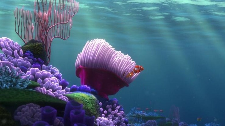 Marlin and Coral in anemone