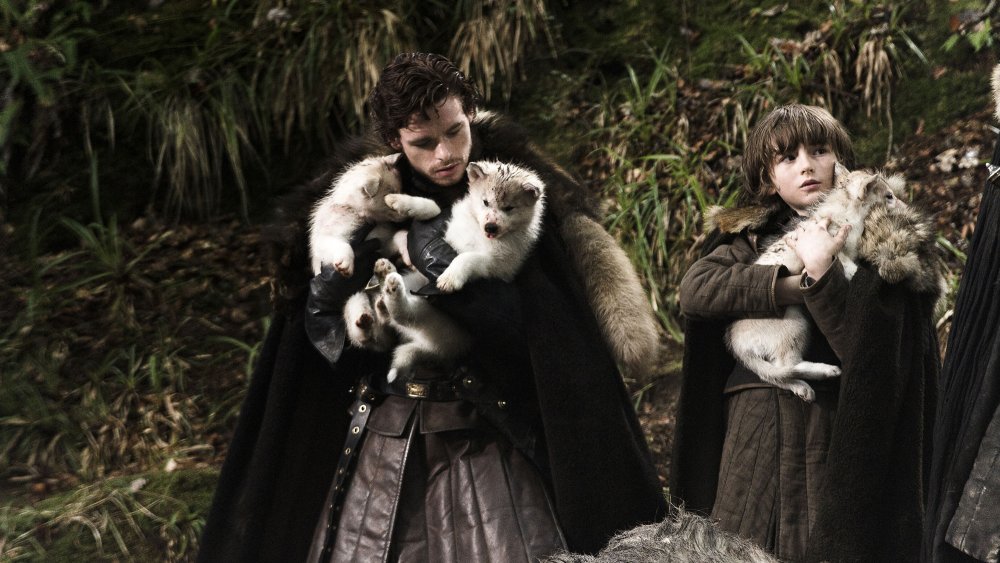 Richard Madden and Isaac Hempstead Wright on Game of Thrones