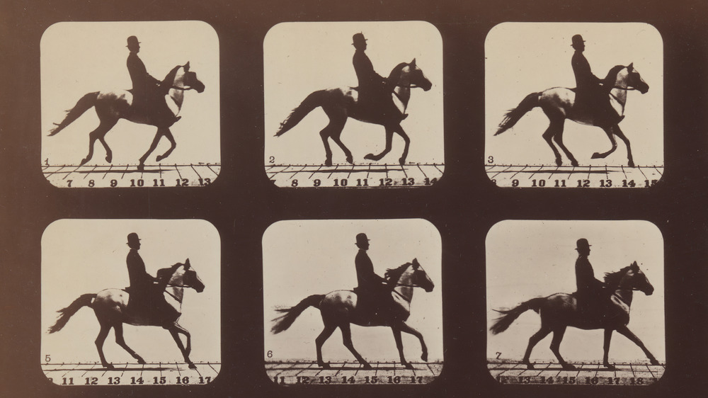 Eadweard Muybridge