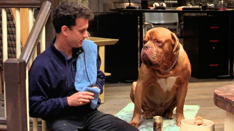 Turner & Hooch