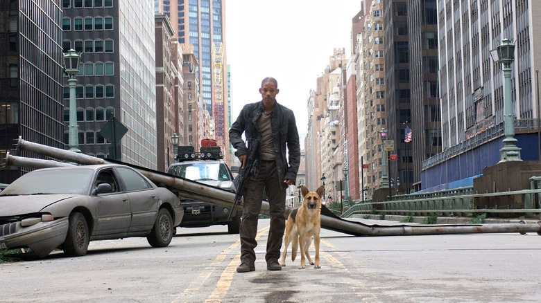 Will Smith and canine pausing in the street