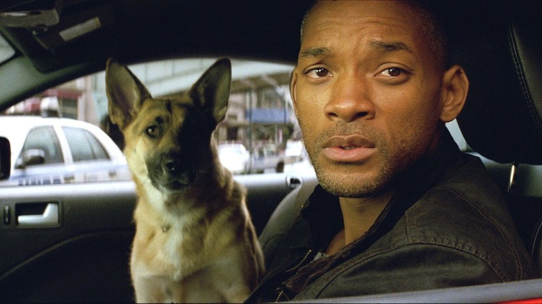 Will Smith sits with dog in car