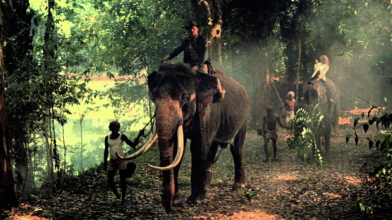 Indy on an elephant