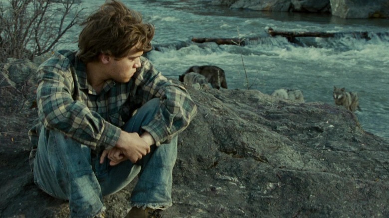 Chris McCandless watching distant wolves