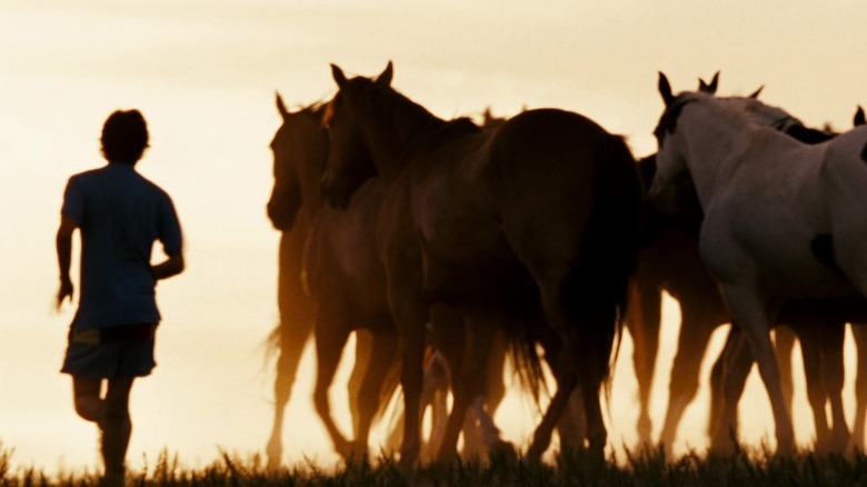 McCandless running with wild horses