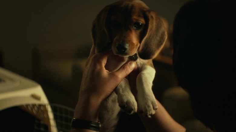 John holding Daisy the beagle