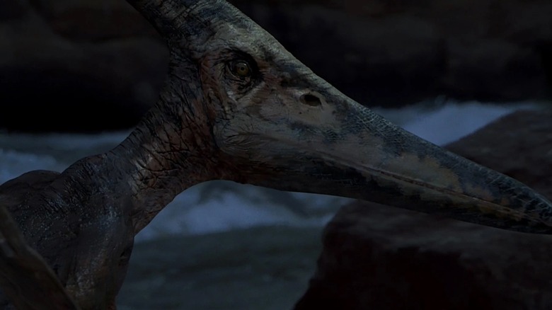 A Pteranodon after a vicious attack