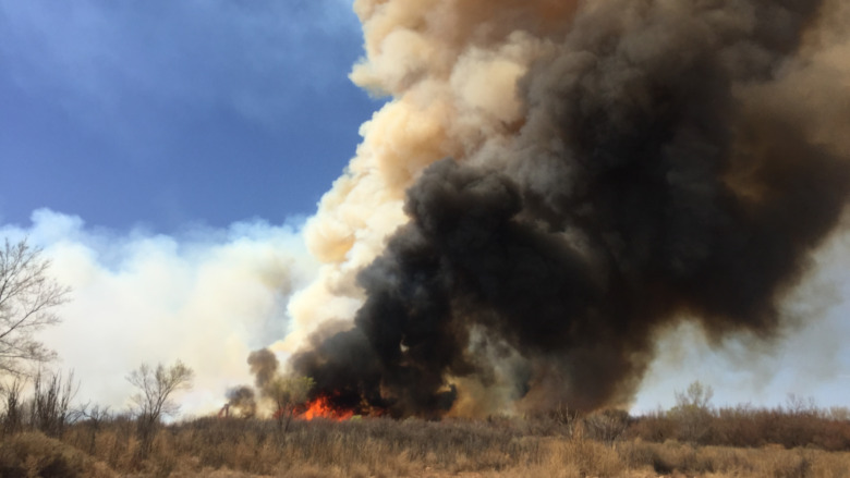 New Mexico wildfires clog the air