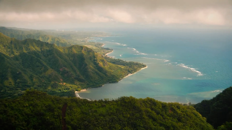 Overhead shot of cove in Hawaii