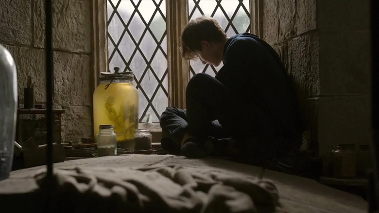 Young Newt Scamander caring for creature at Hogwarts