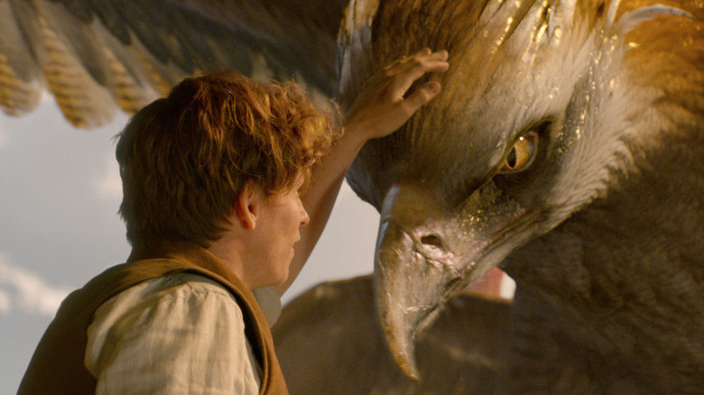 Newt petting Frank the Thunderbird